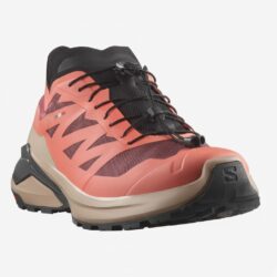 cleaned p137334 img137336