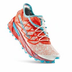 cleaned p148554 img148556