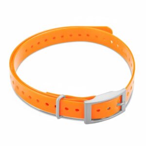 cleaned p159866 img159867