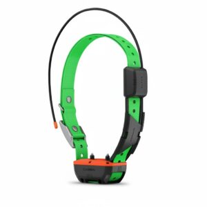 cleaned p160306 img160307