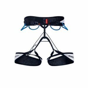 cleaned p178717 img178718